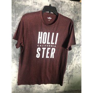 Hollister T Shirt Men Size Adult Large Shirt